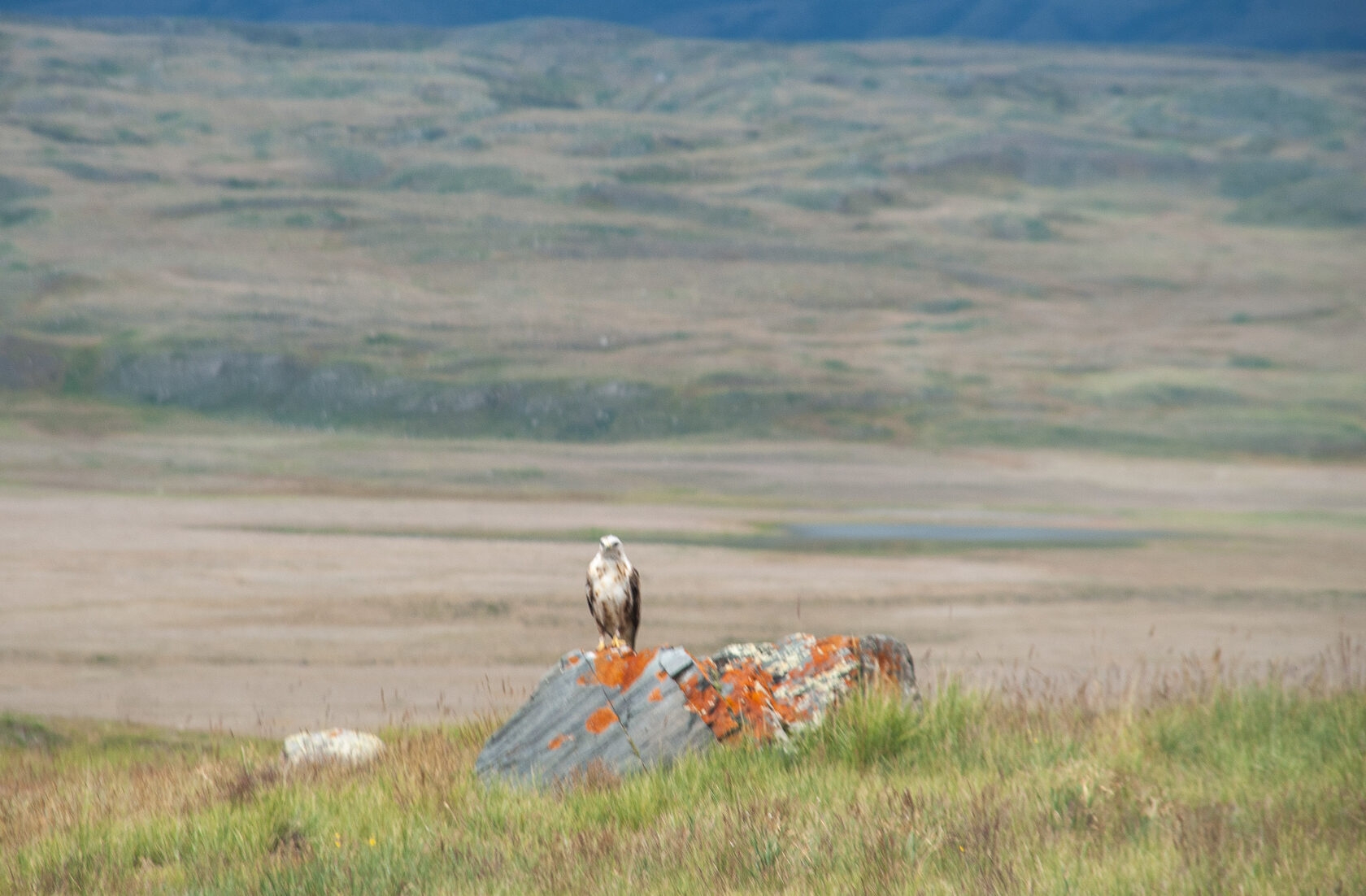 «Укок - место силы» - фото 3