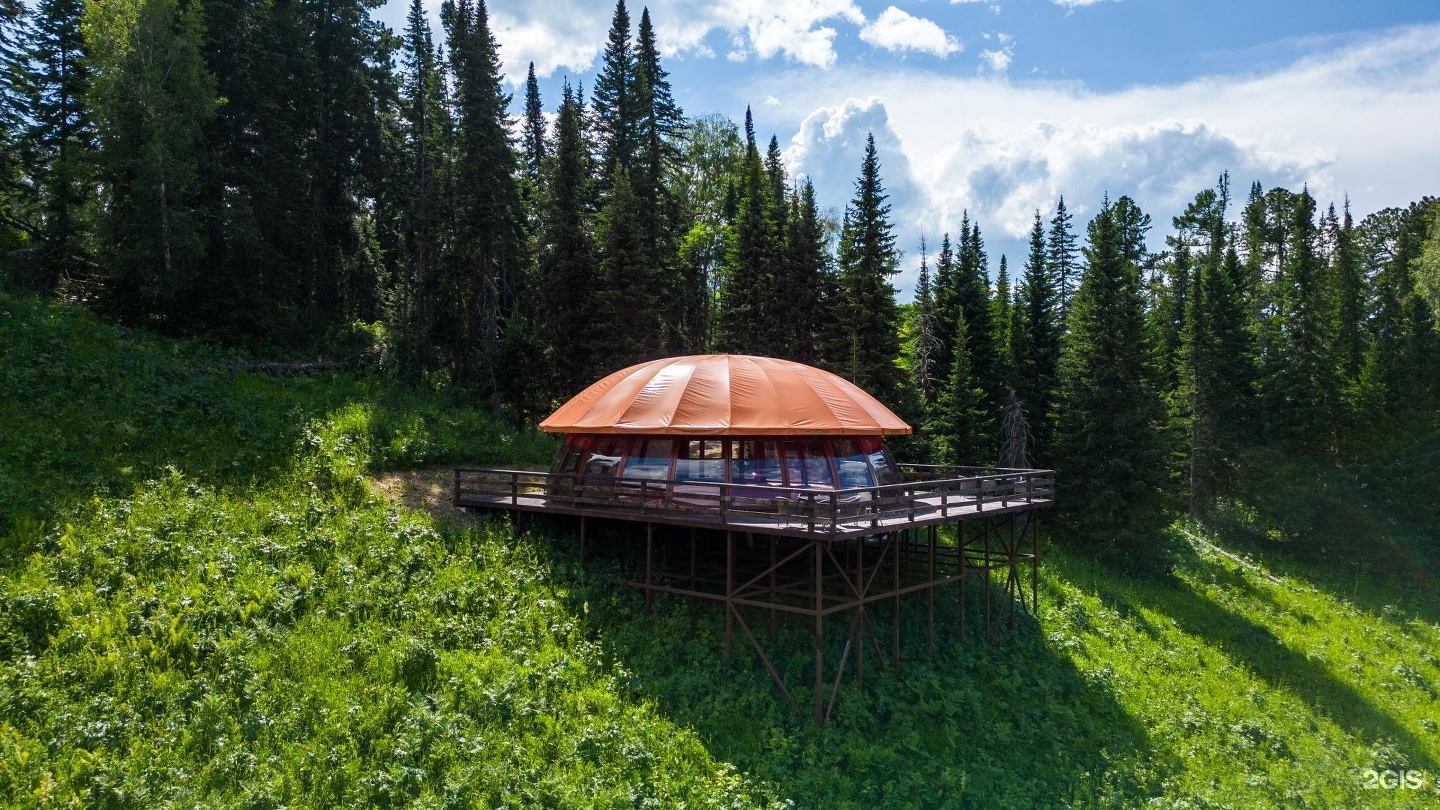 Cosmos Collection Altay Resort - фото 74