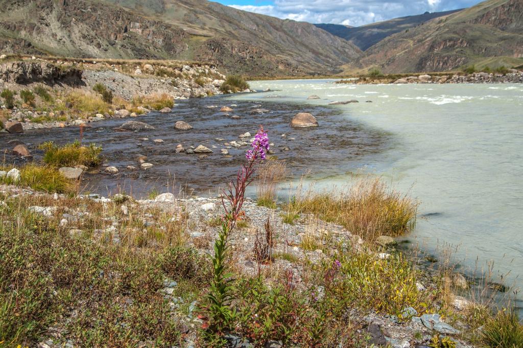 «Укок - место силы» - фото 6