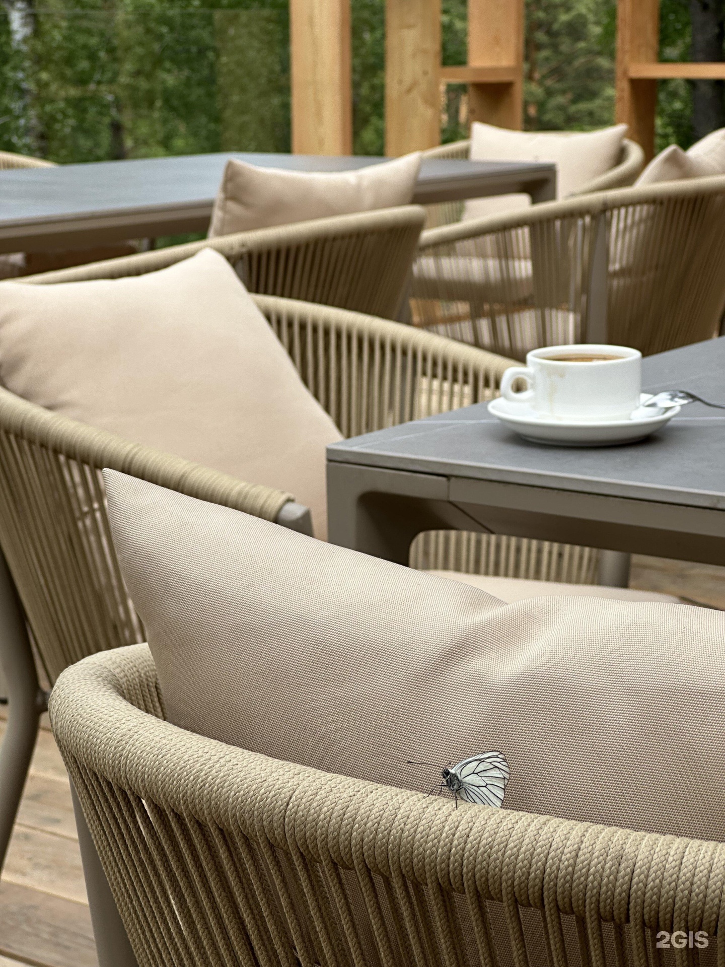 Pinewood resort&SPA - фото 20