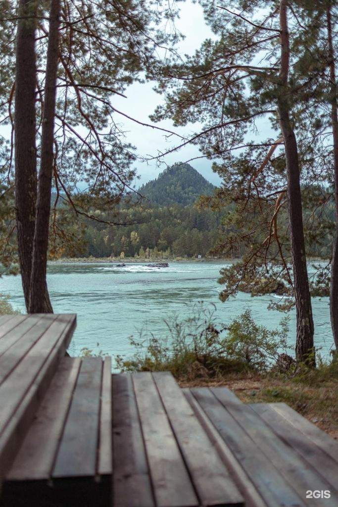 Берель - фото 6