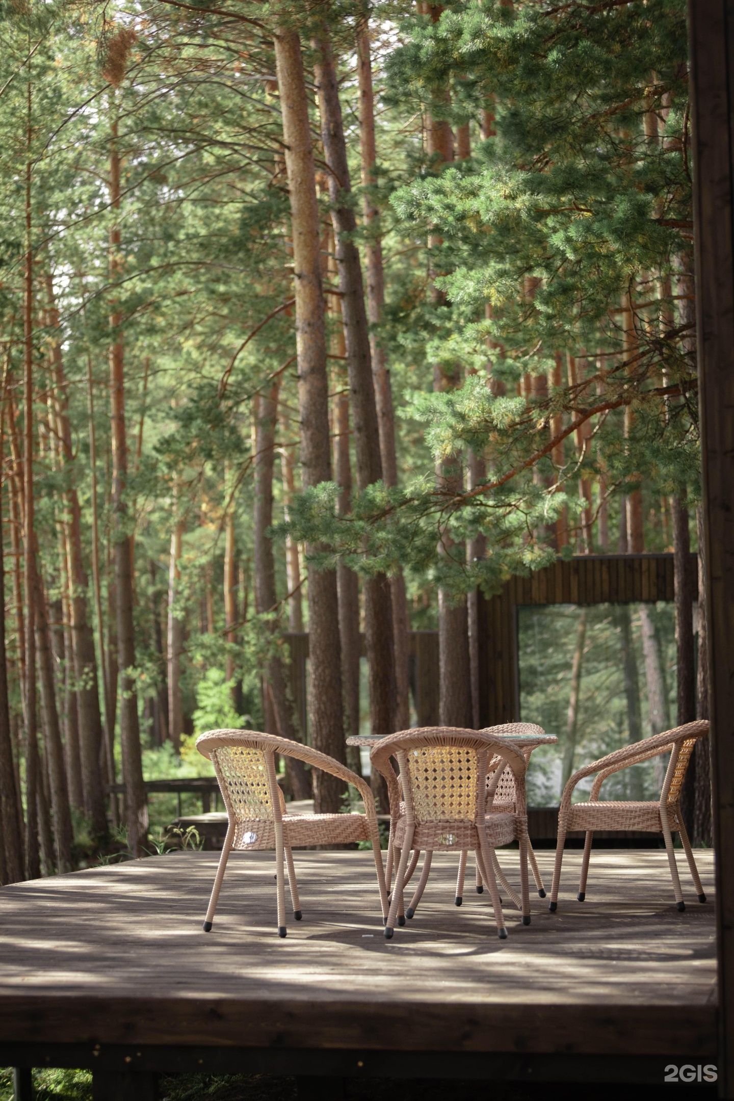 Берель - фото 11