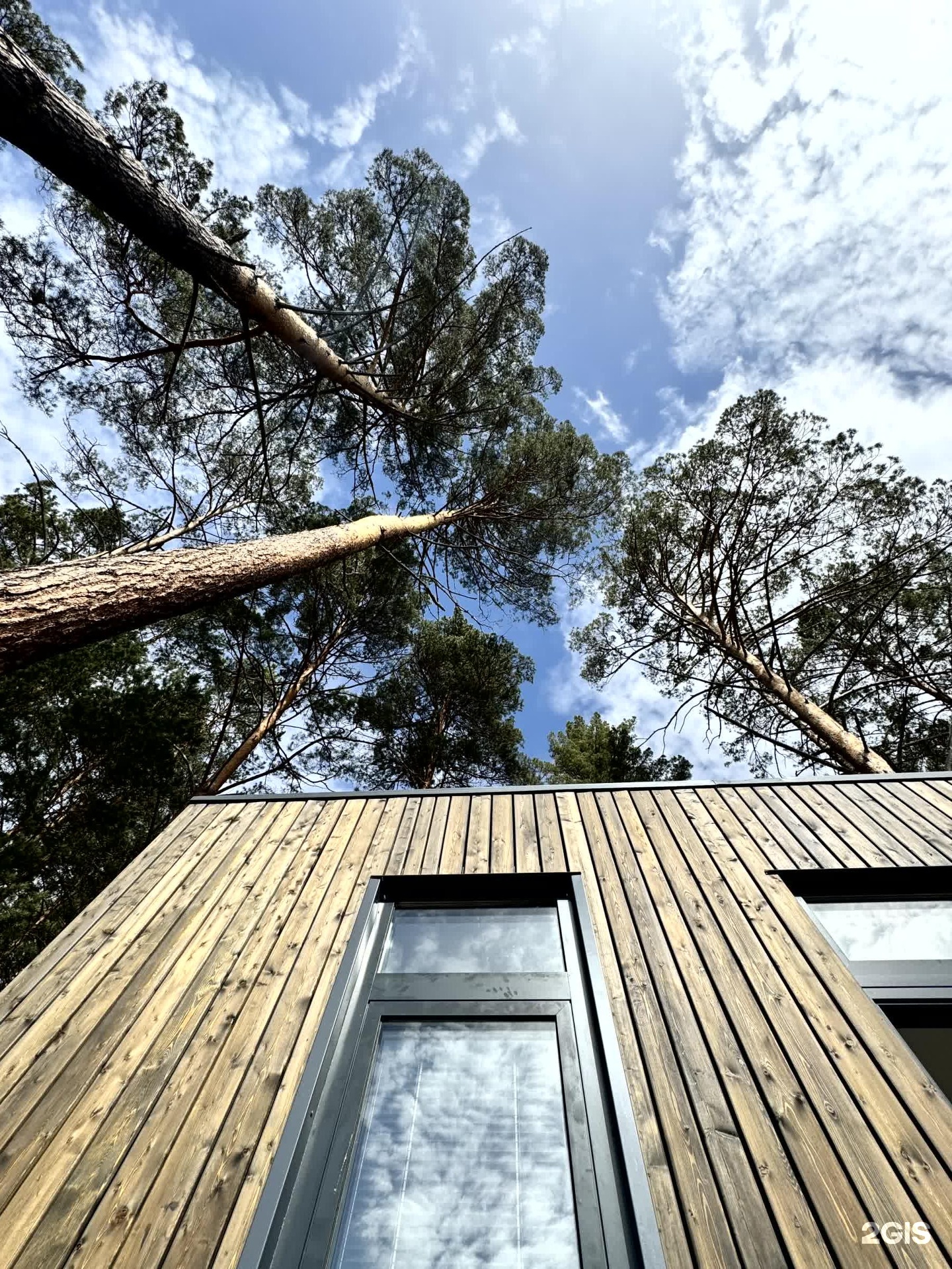 Берель - фото 24