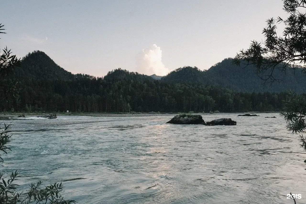 Берель - фото 58