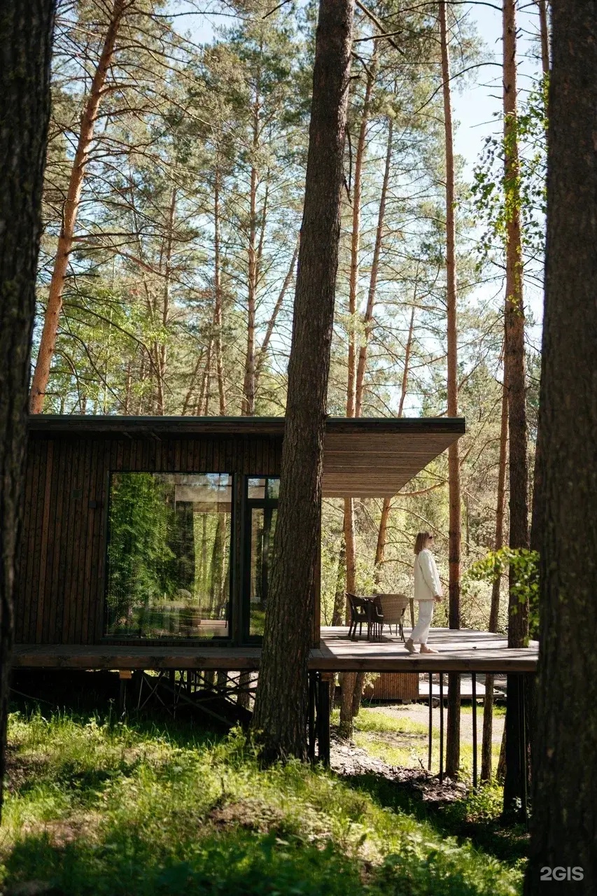 Берель - фото 63