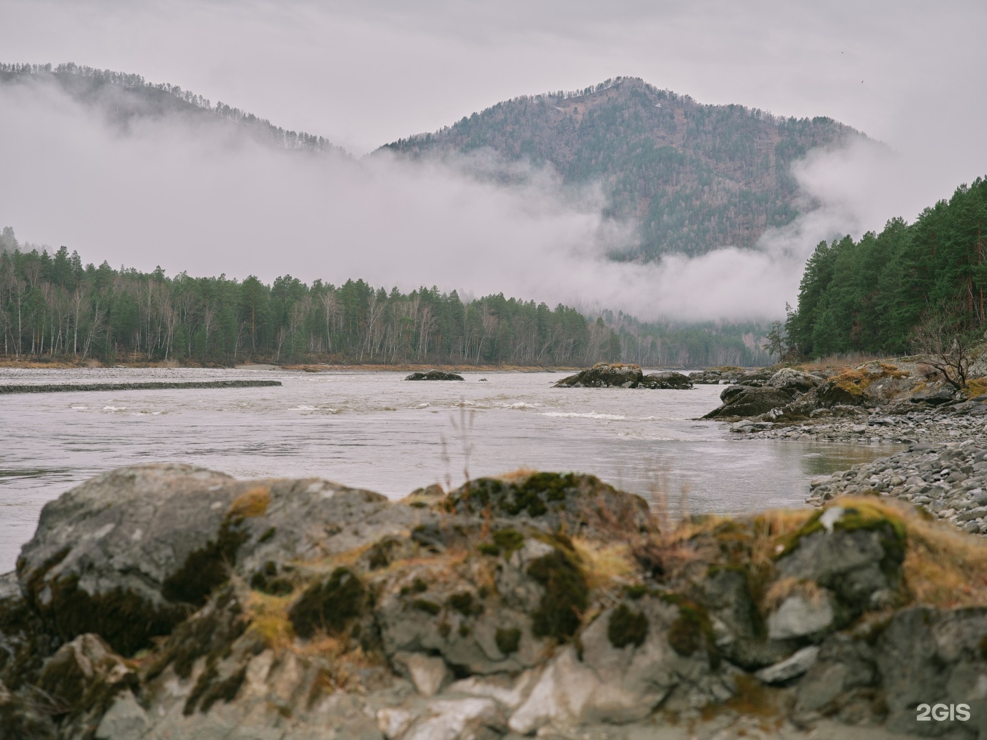 Берель - фото 80