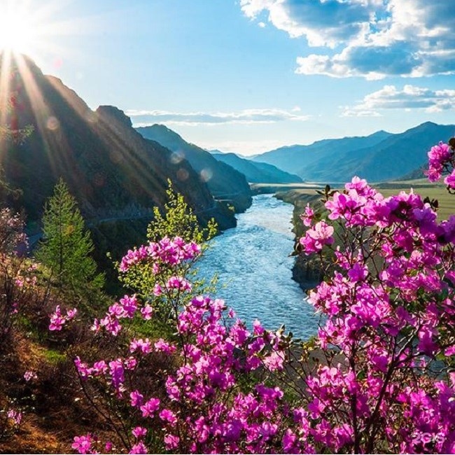 E. L. K. I. - фото 67