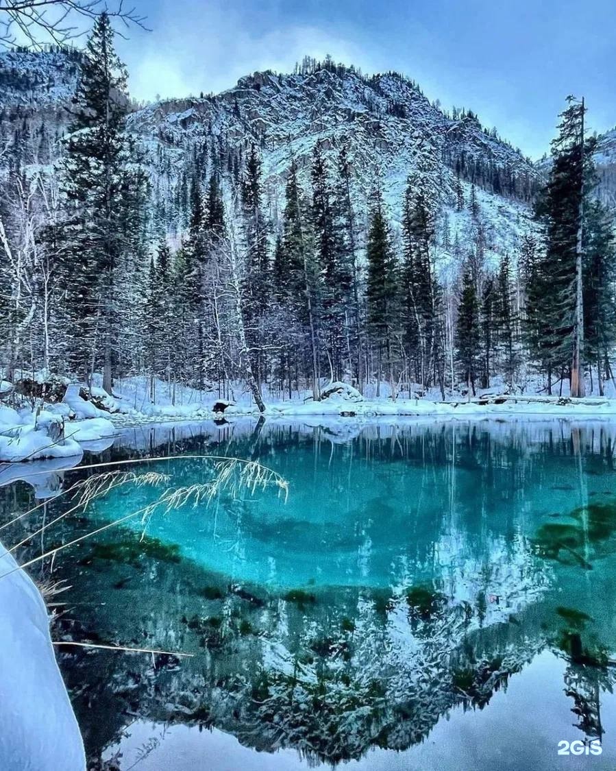 E. L. K. I. - фото 73