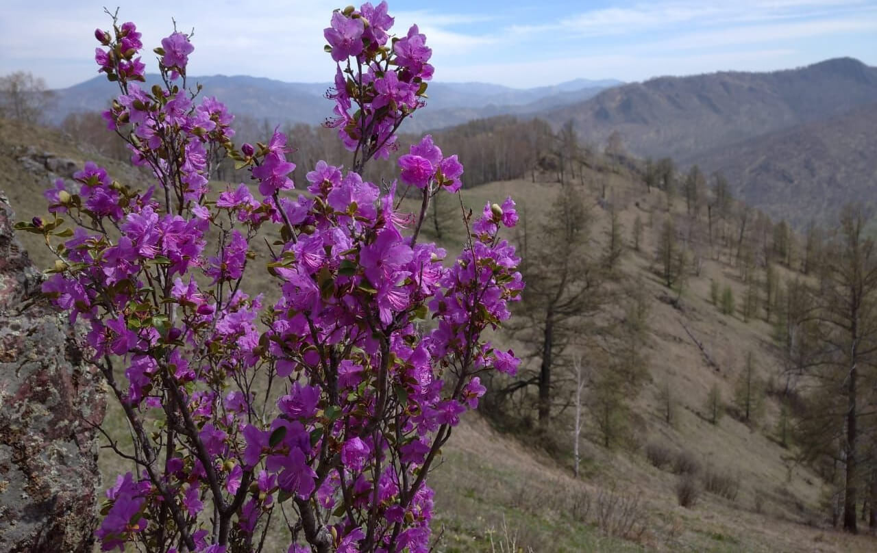 80-е. Весело и дружно - фото 1