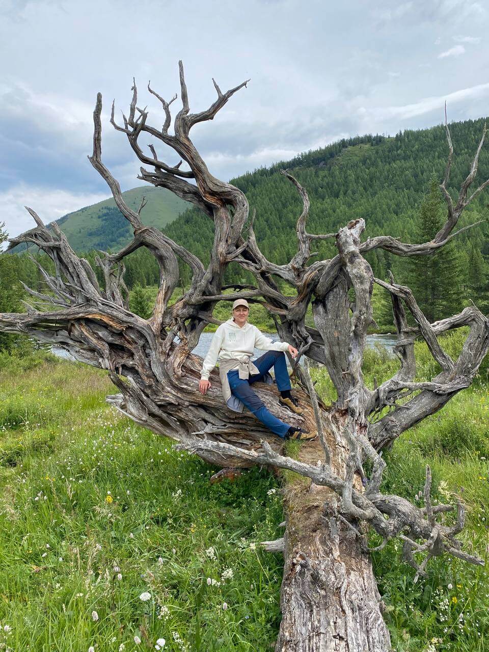 ЛЕТО. Золотое кольцо Алтая - фото 3