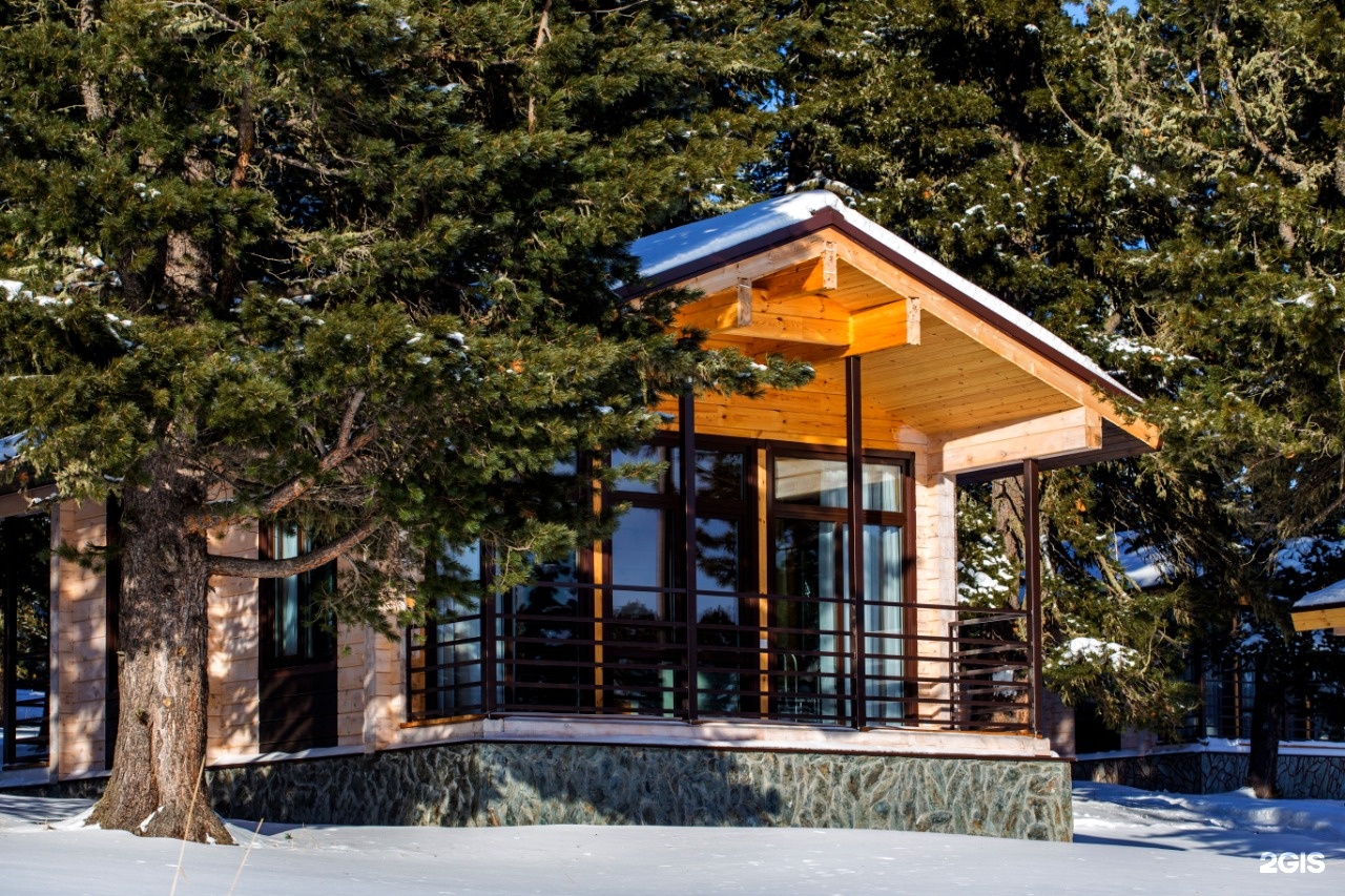 Priroda - фото 22