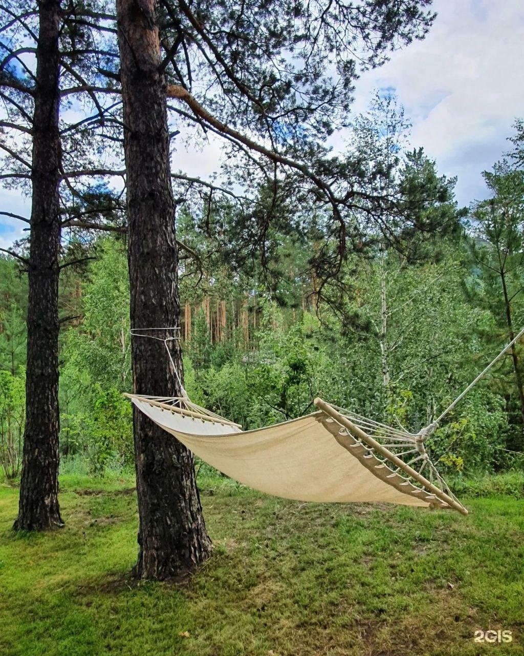 Priroda - фото 75