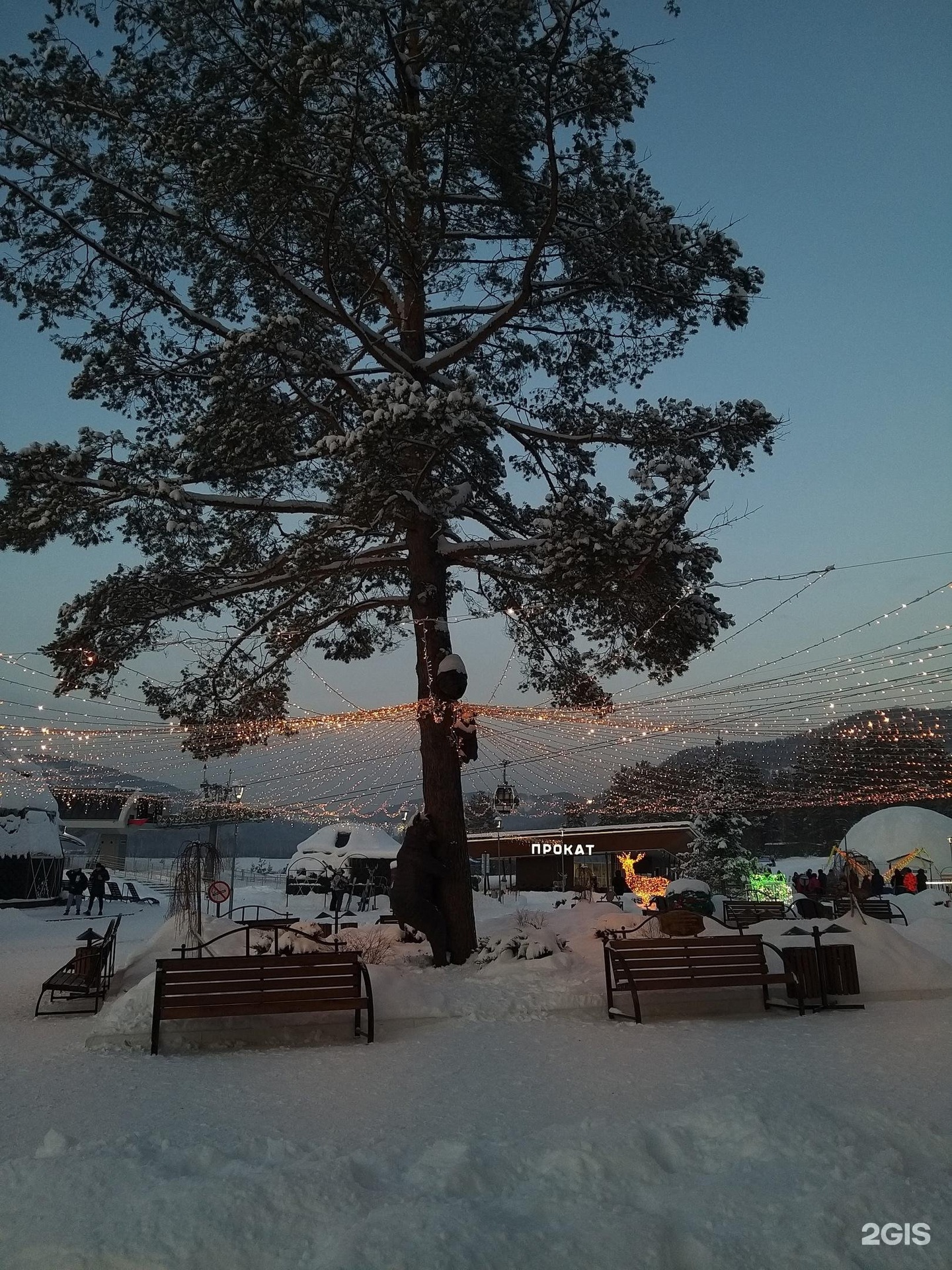 УДачный - фото 31