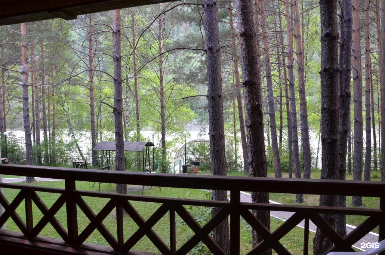 Золотые пески - фото 30