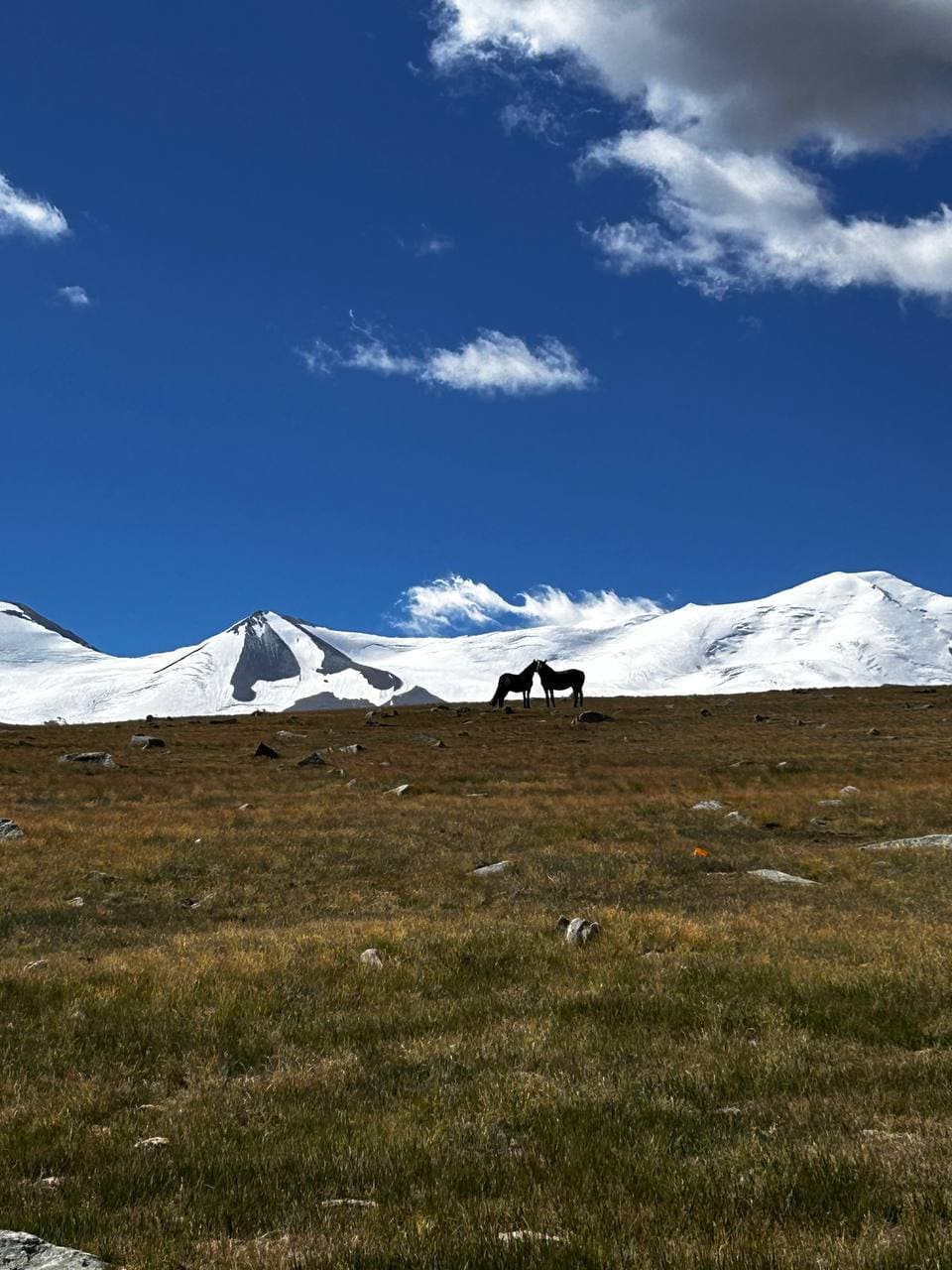 АВТО ТУР НА ПЛАТО УКОК - фото 9