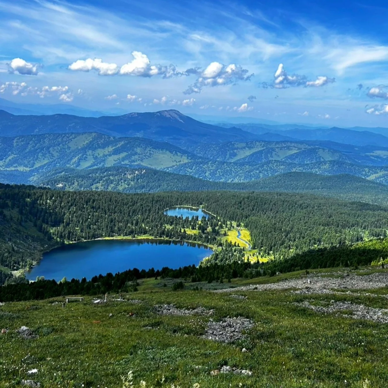 ДИКИЙ "ГЛАМУР" - фото 5