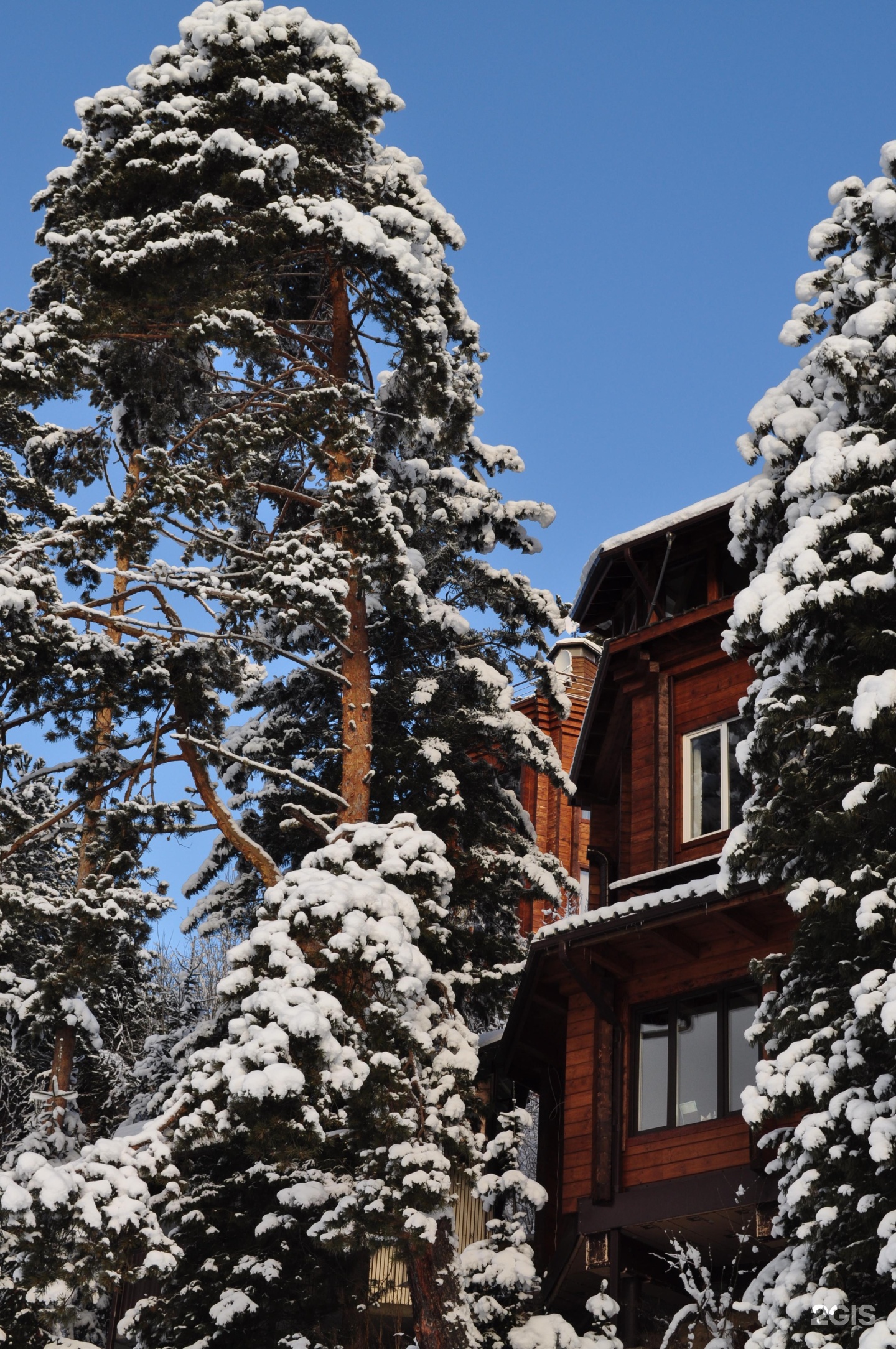 Урочище Актра - фото 20