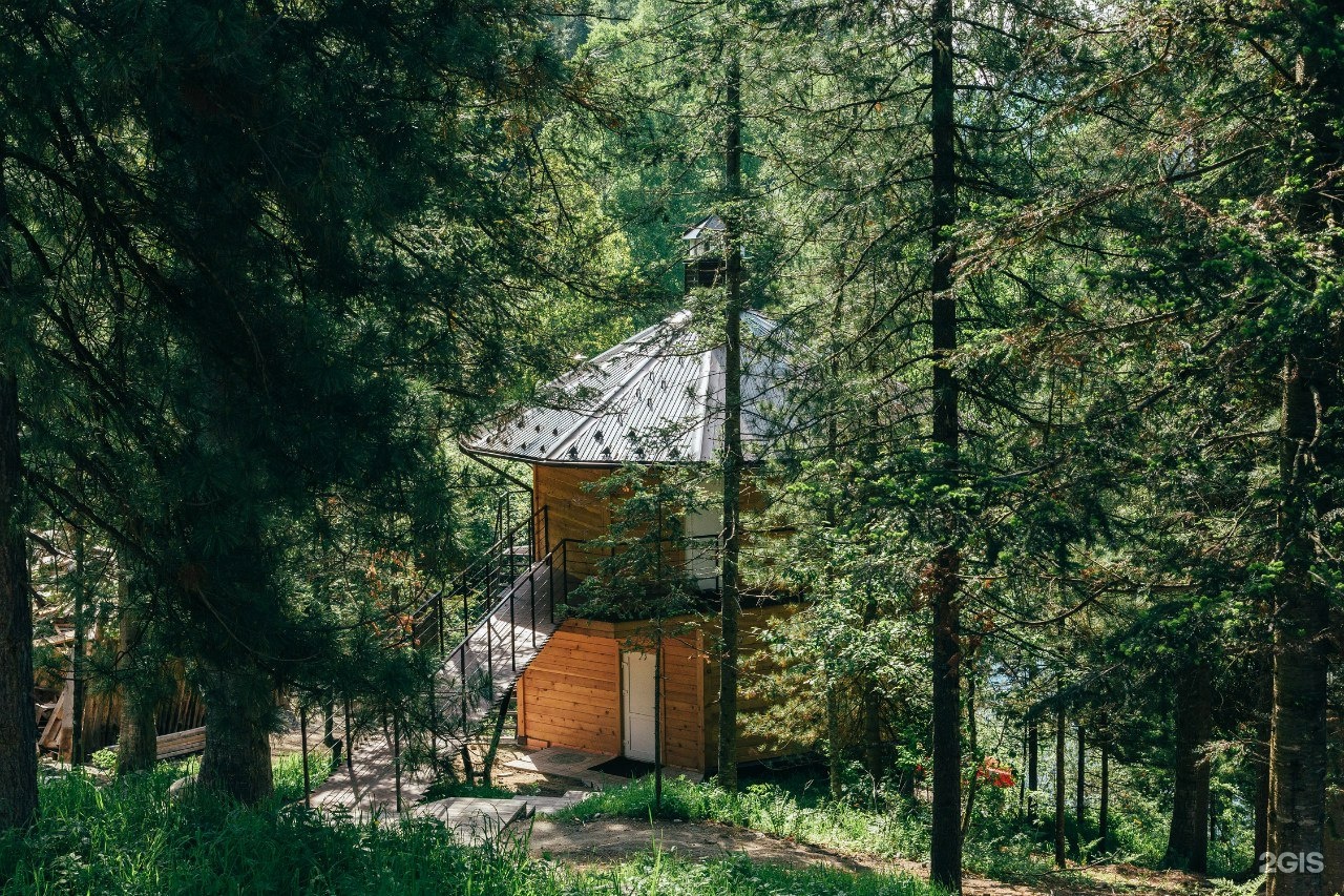 Урочище Актра - фото 52