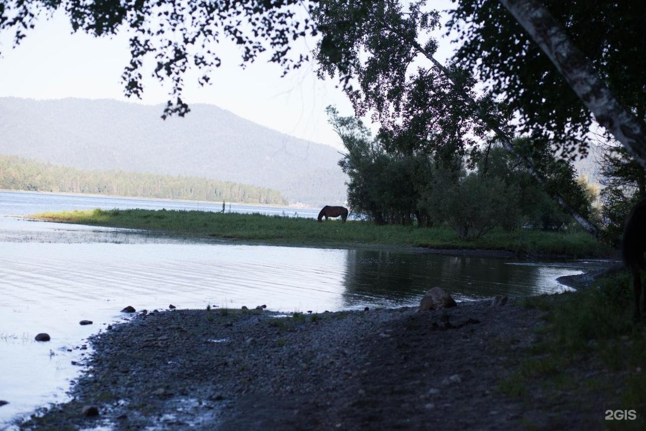 Урочище Актра - фото 59