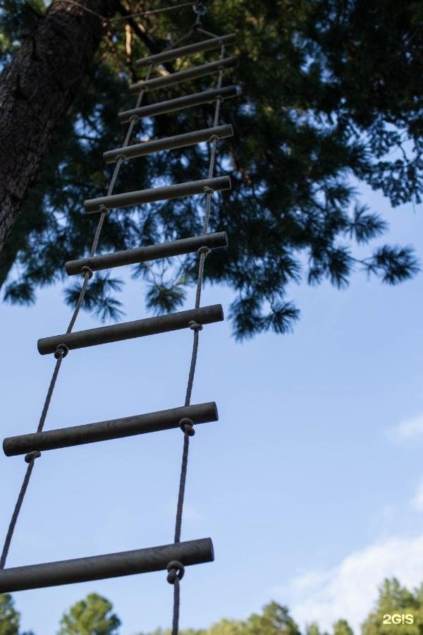 Урочище Актра - фото 78