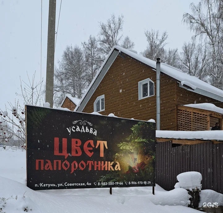 Цвет папоротника - фото 3