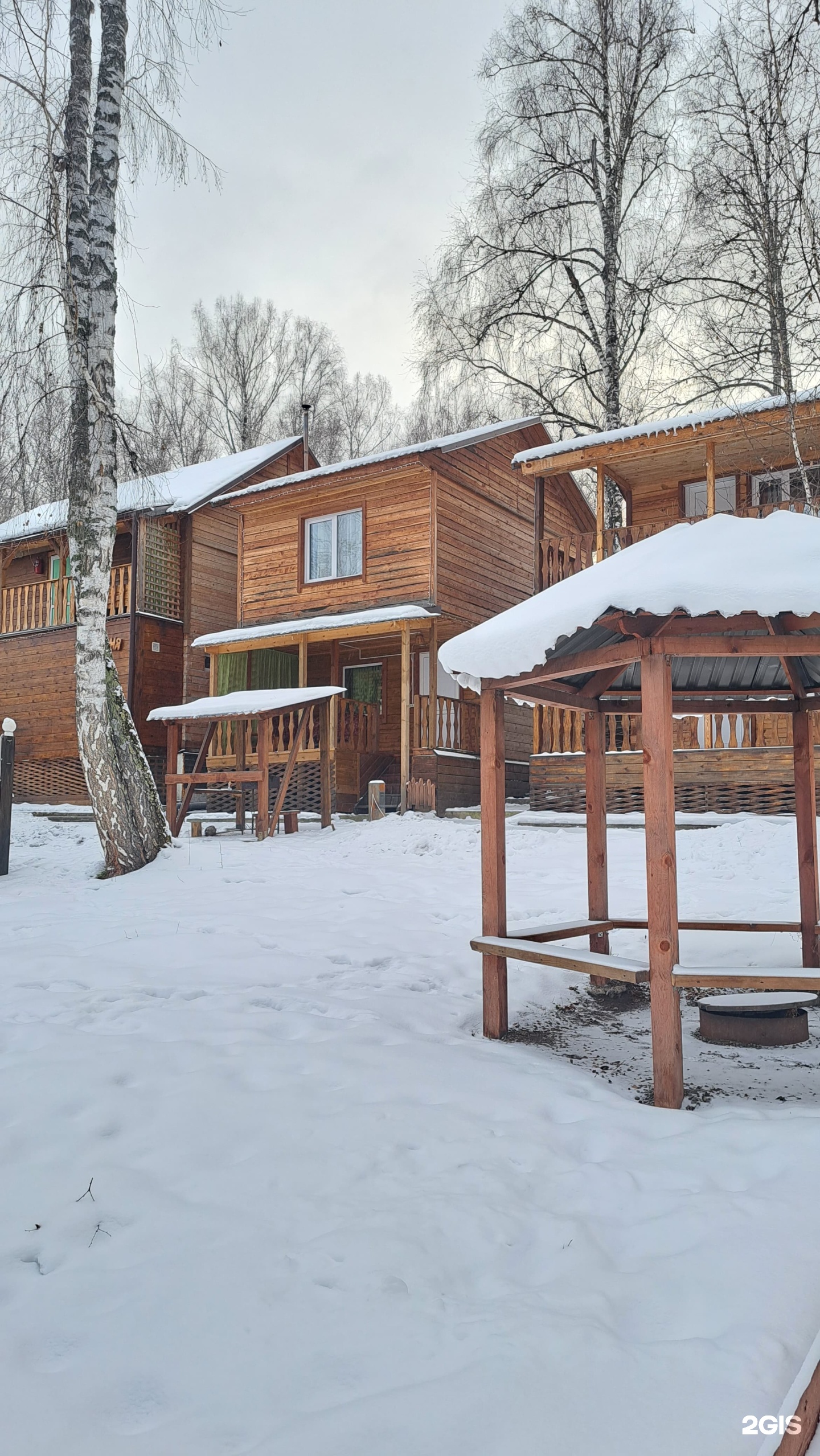 Цвет папоротника - фото 6