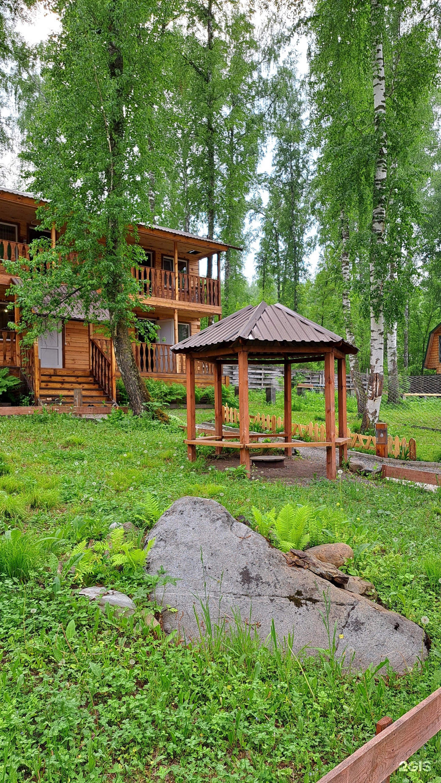 Цвет папоротника - фото 26