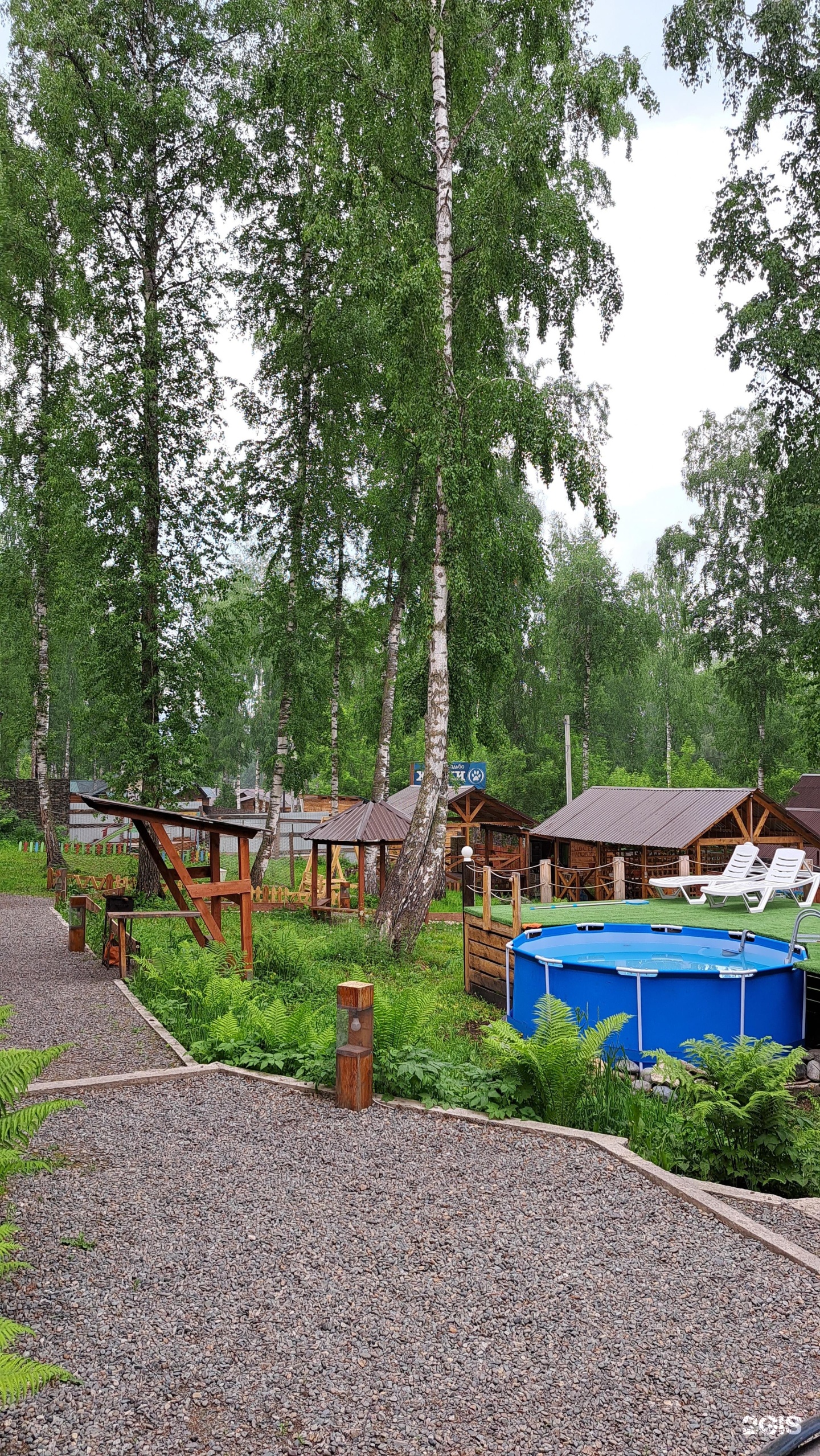 Цвет папоротника - фото 28