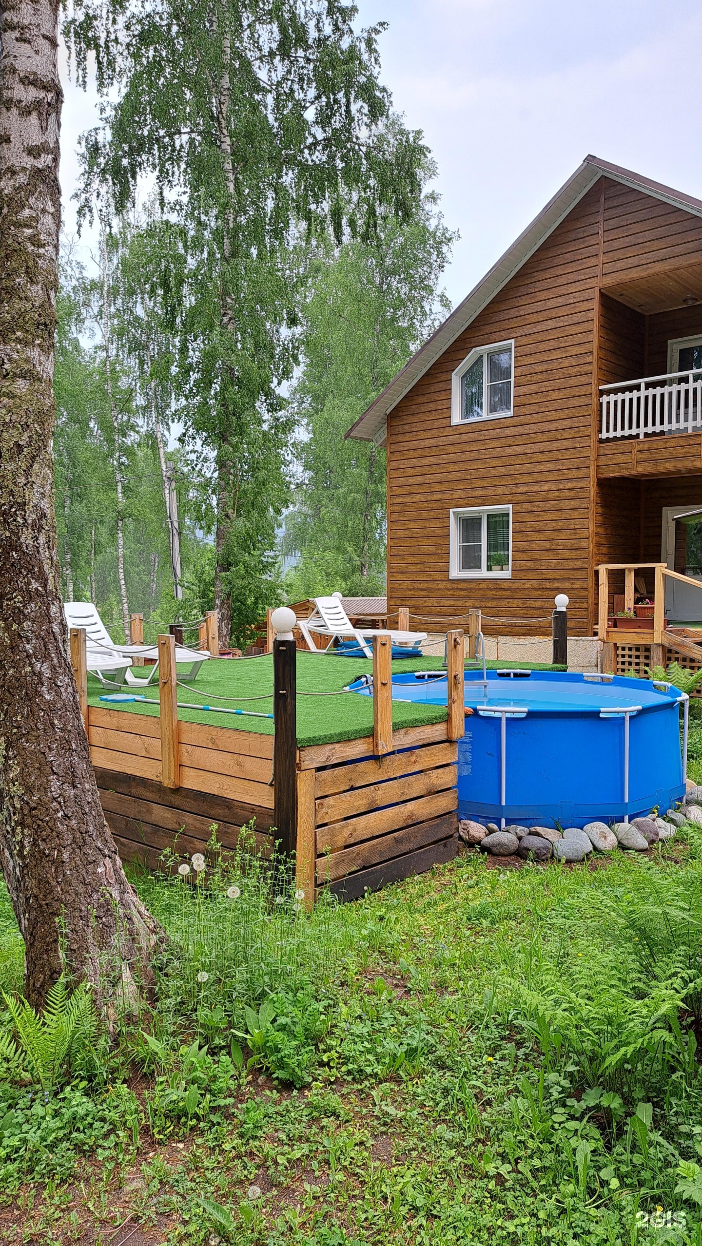 Цвет папоротника - фото 30