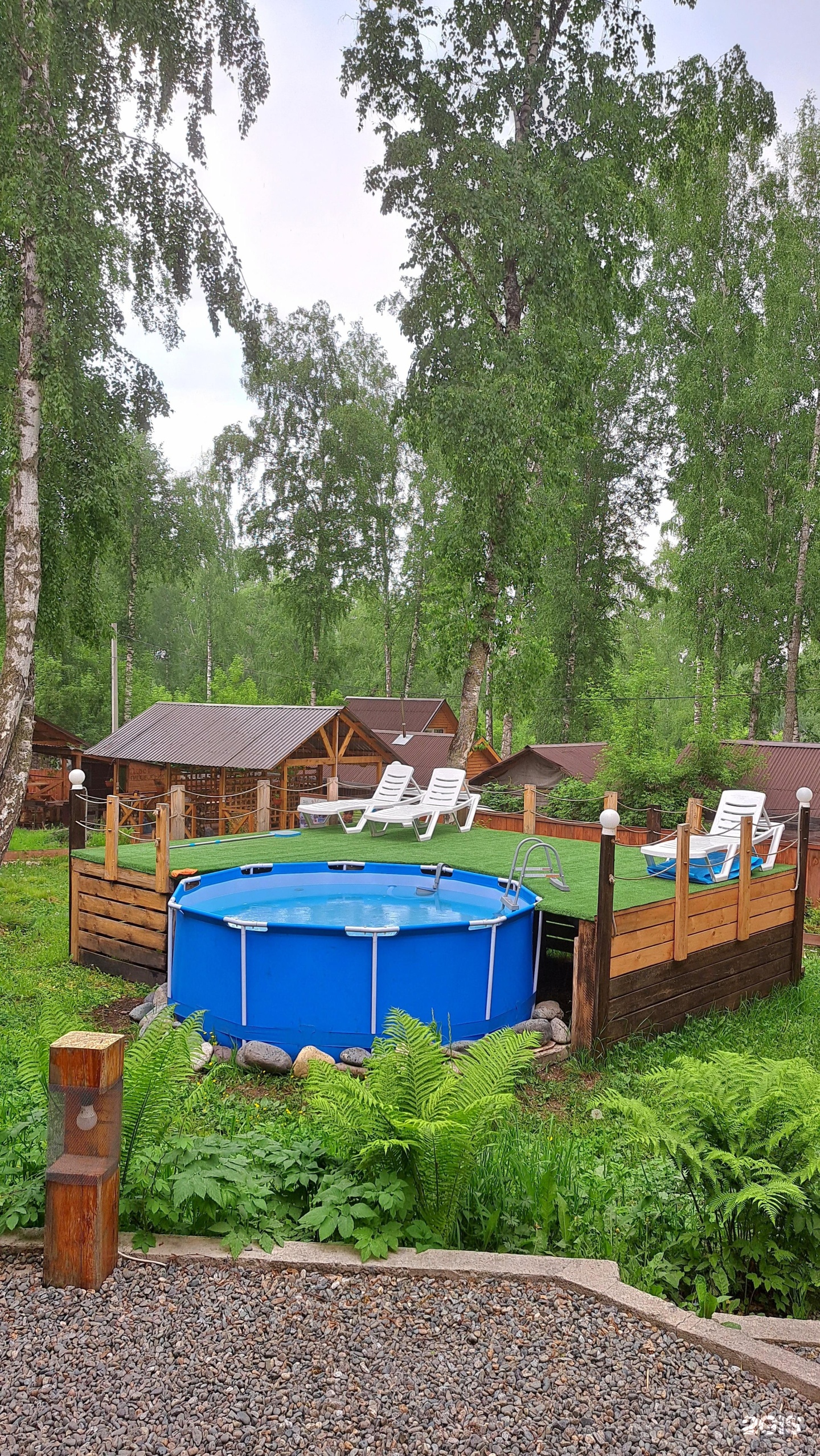 Цвет папоротника - фото 31