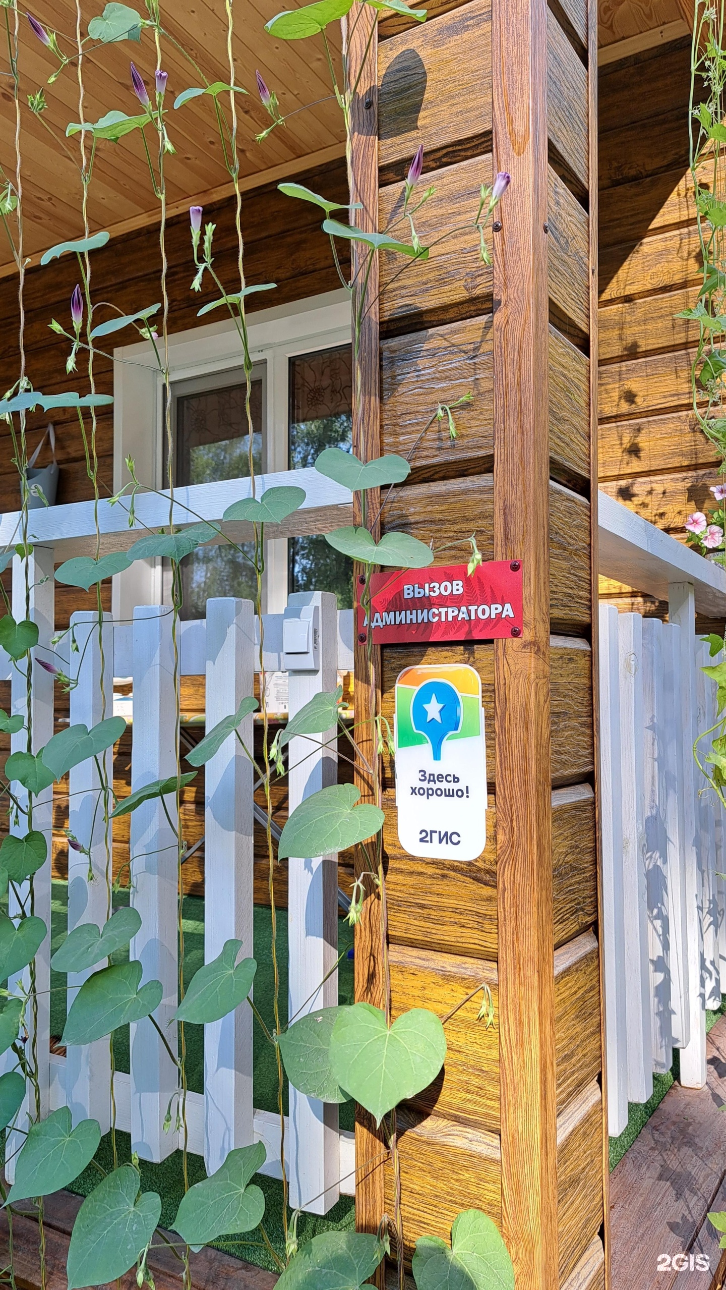 Цвет папоротника - фото 36