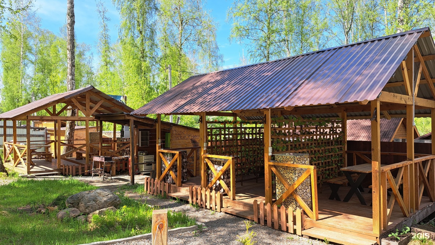 Цвет папоротника - фото 37