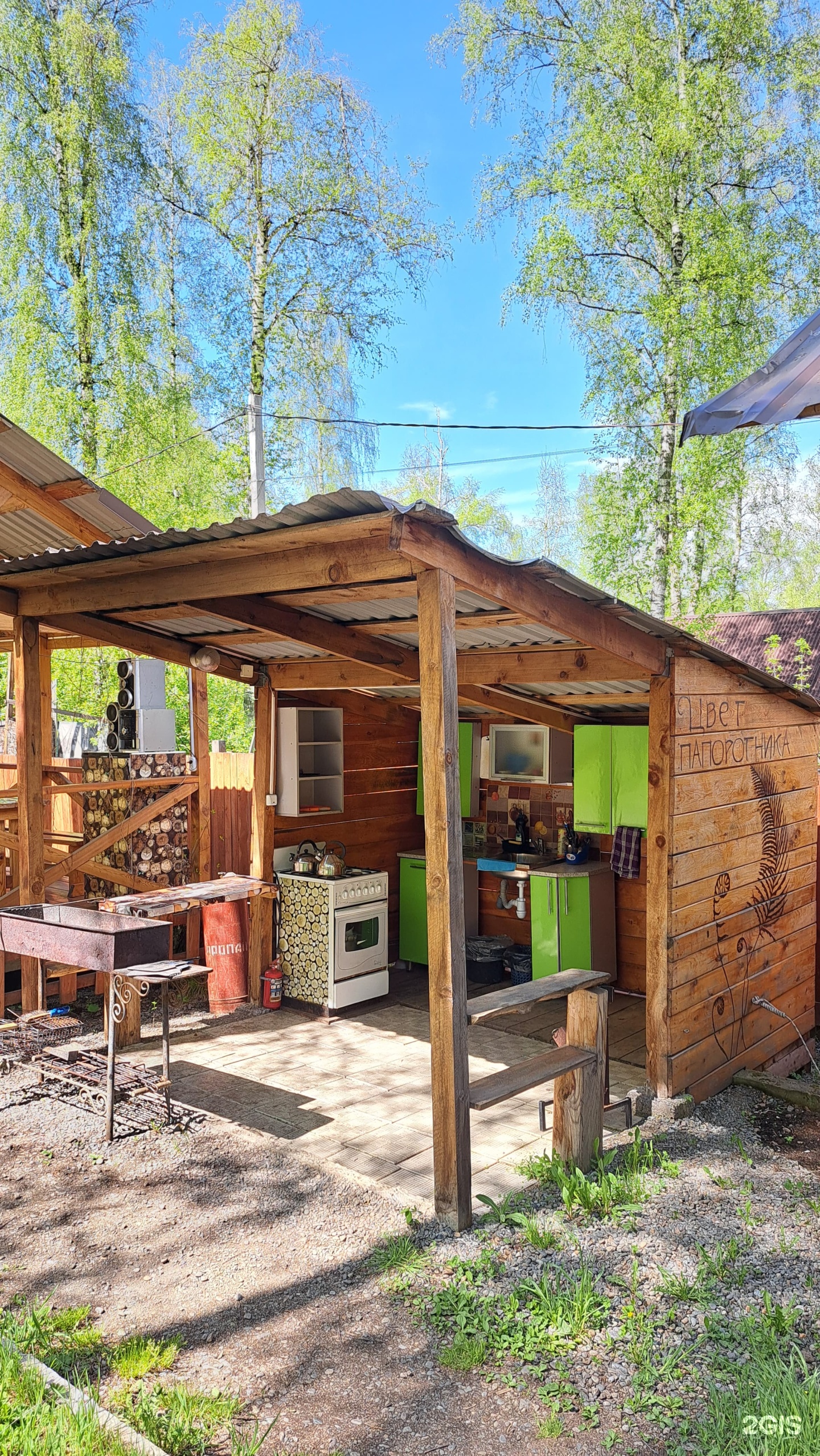 Цвет папоротника - фото 39