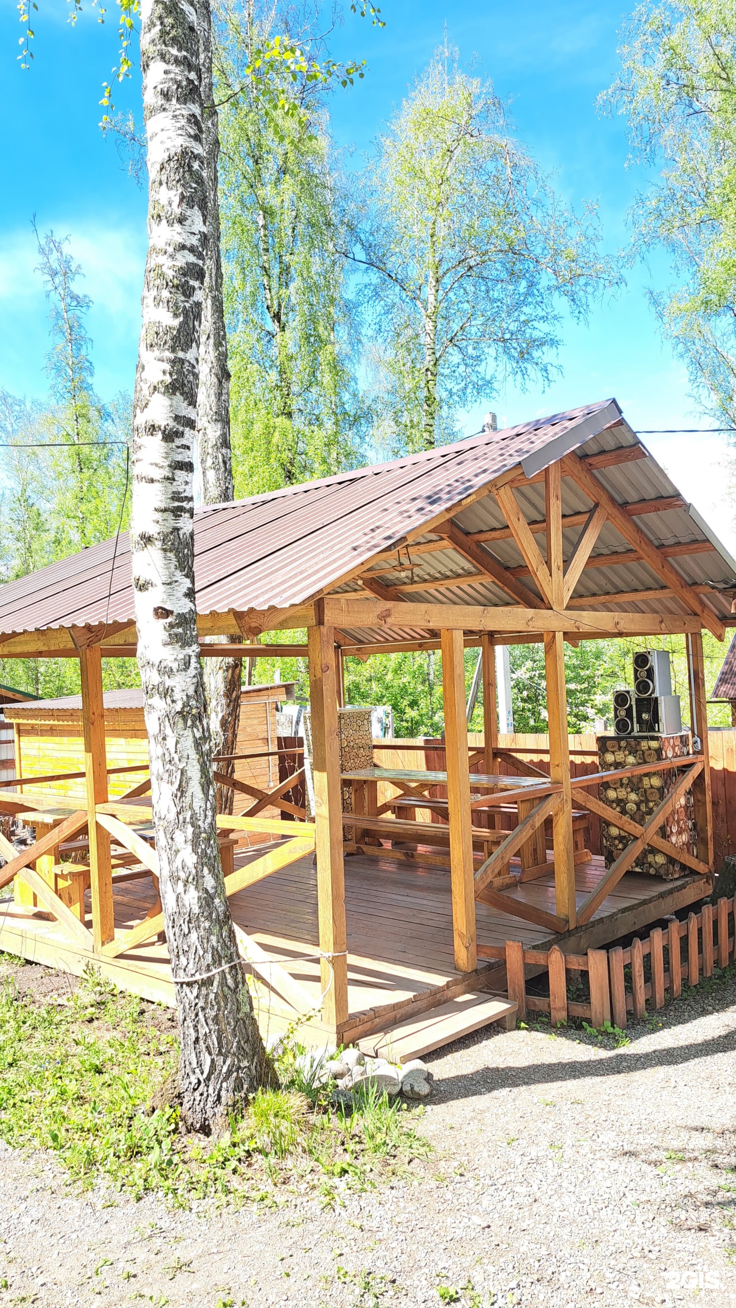 Цвет папоротника - фото 42