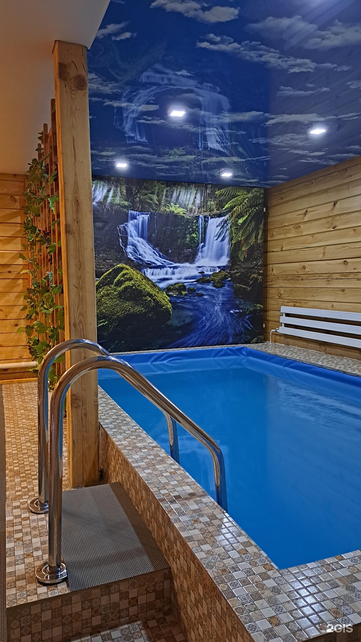 Цвет папоротника - фото 44