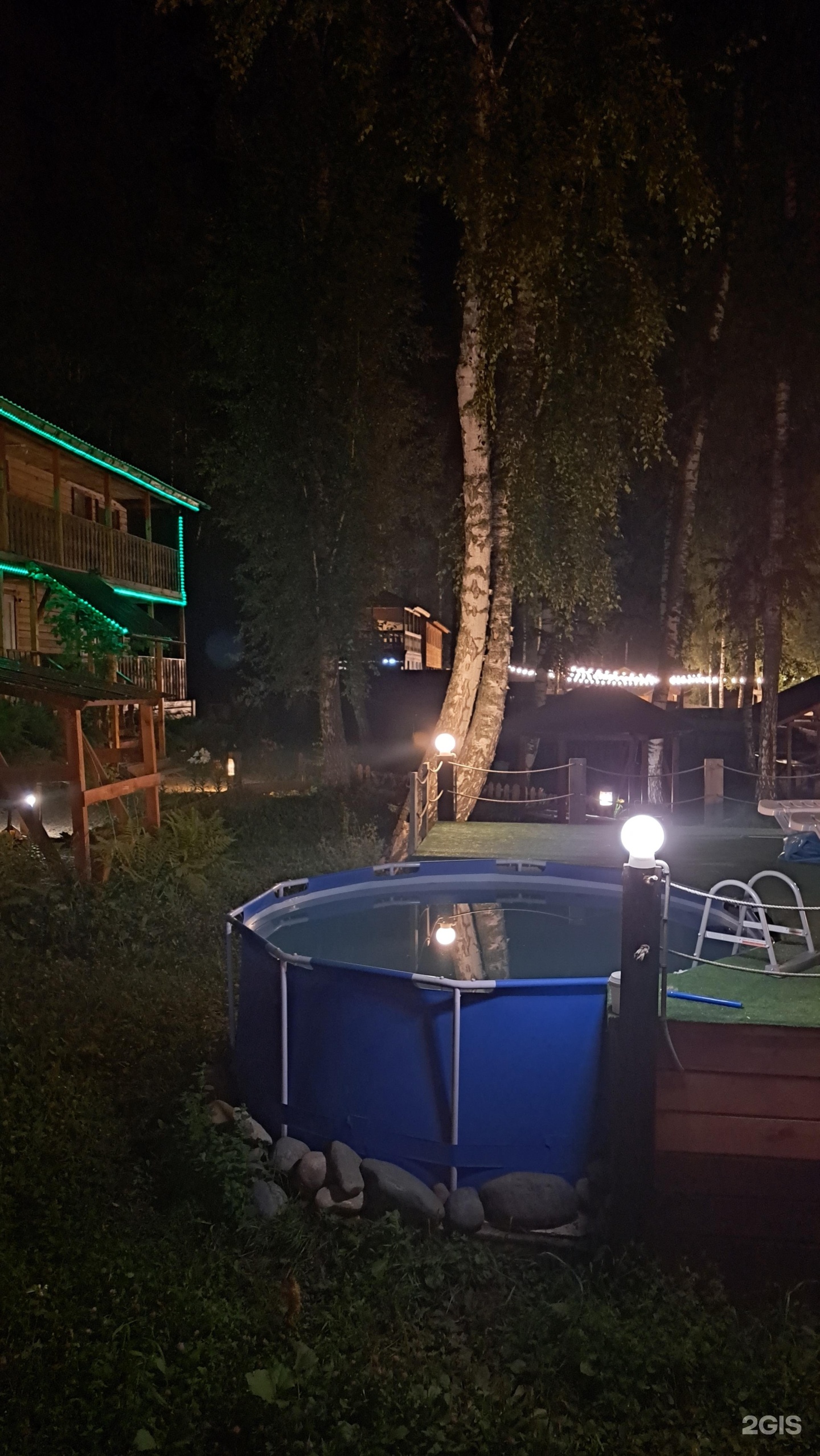 Цвет папоротника - фото 58