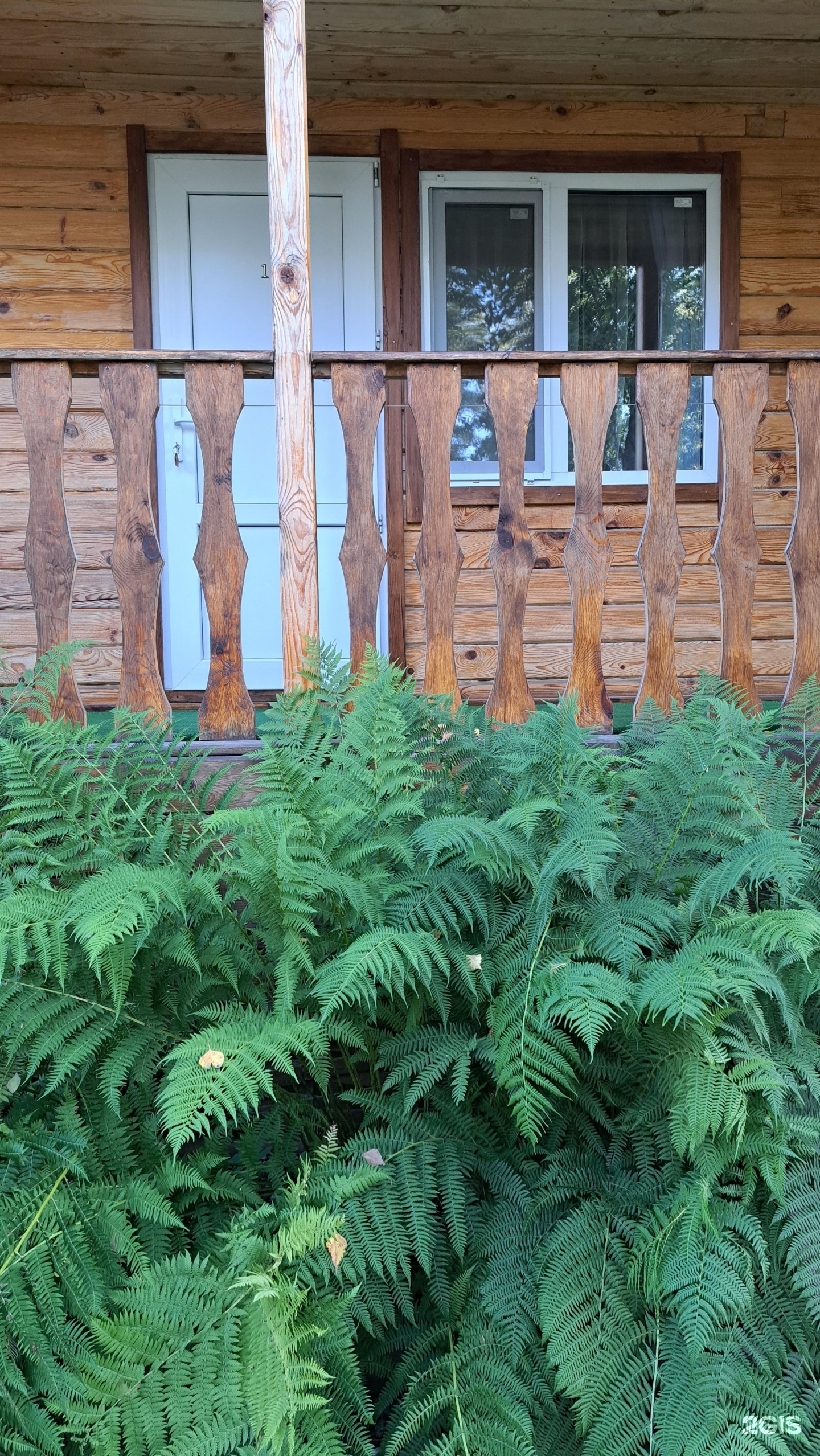 Цвет папоротника - фото 59