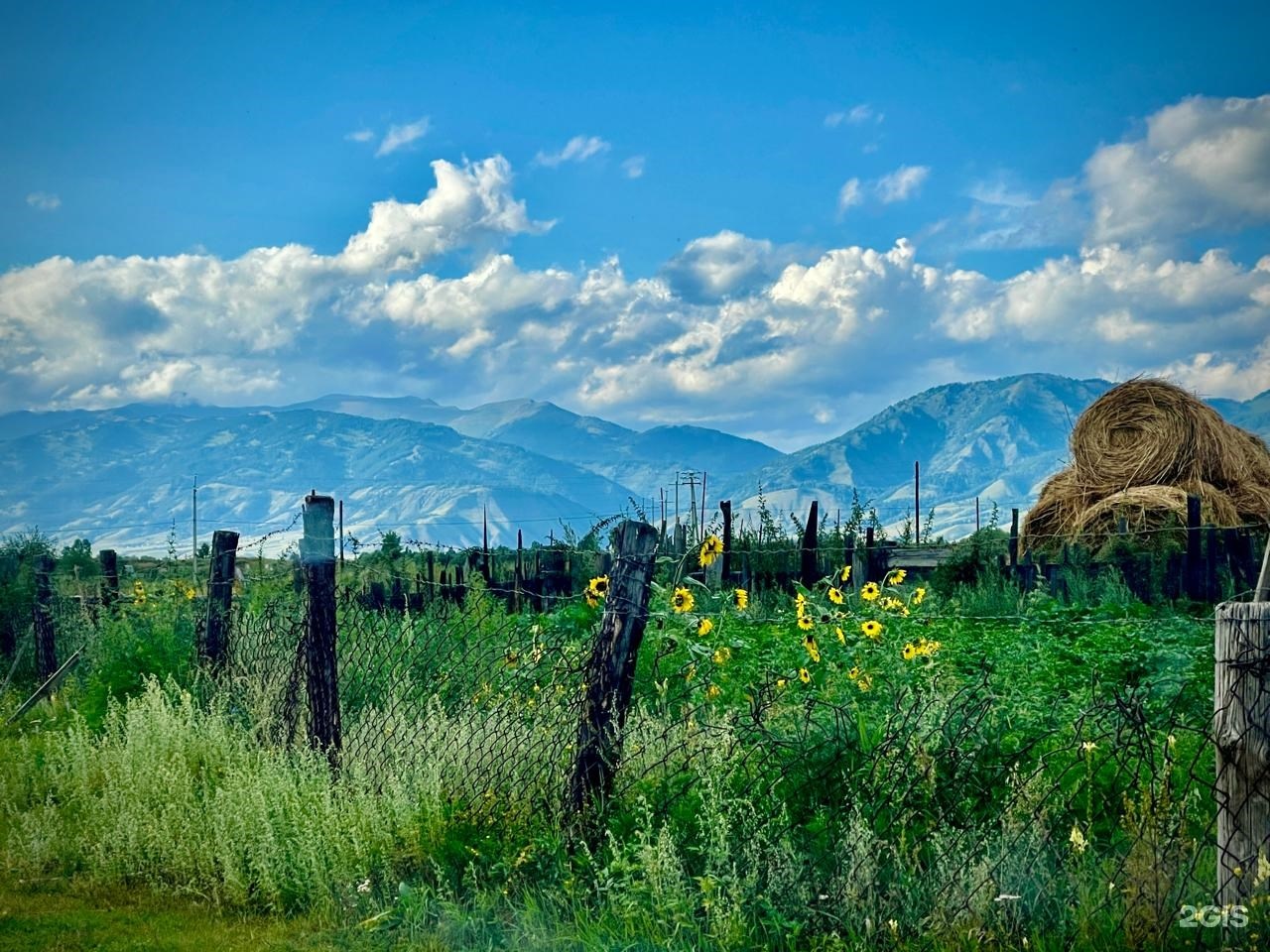 Гостевые дома - фото 21