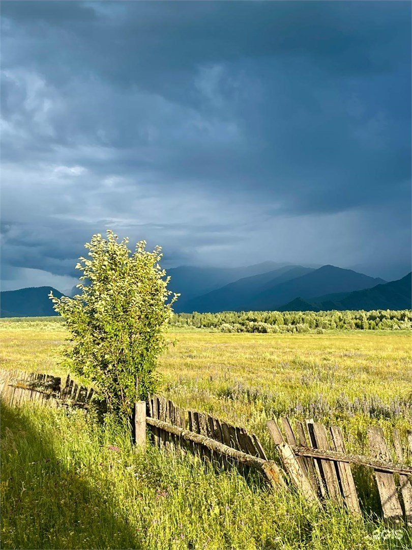 Гостевые дома - фото 22