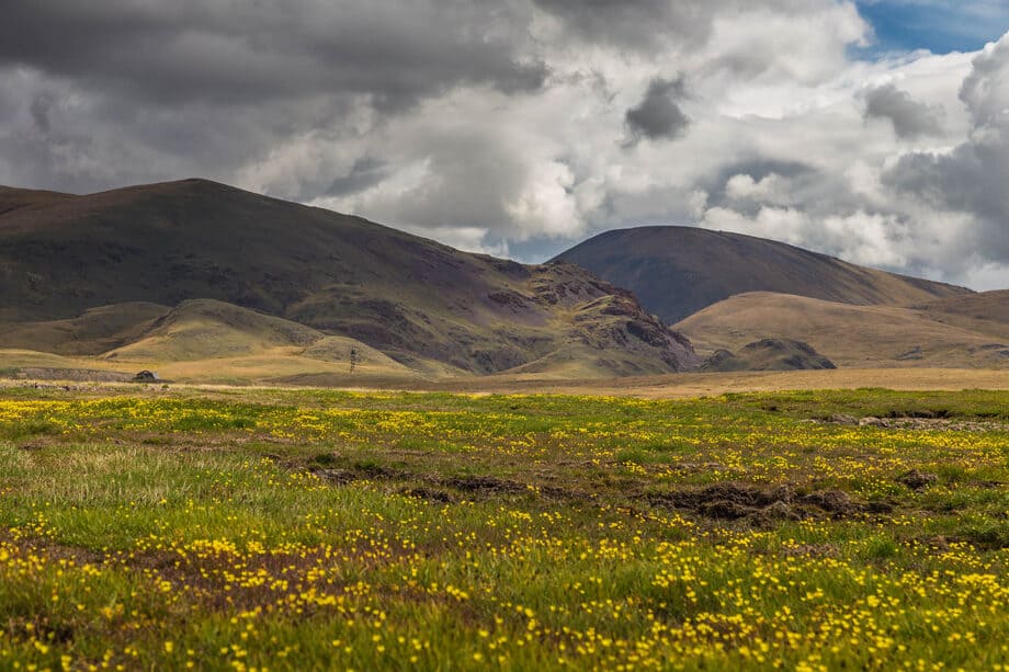 Тур на Плато Укок "Путь Белой шаманки. Полное погружение." - фото 3