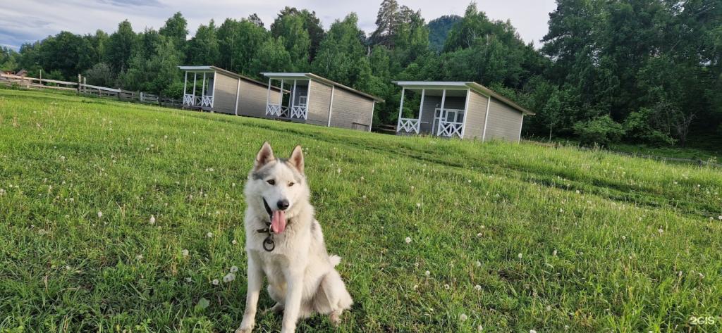 Апартаменты на Анос, ул. Центральная 130 - фото 10