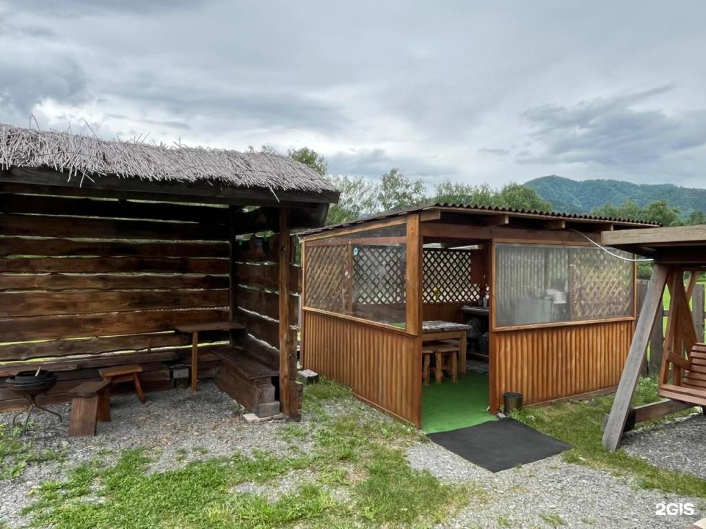 Василиса - фото 1