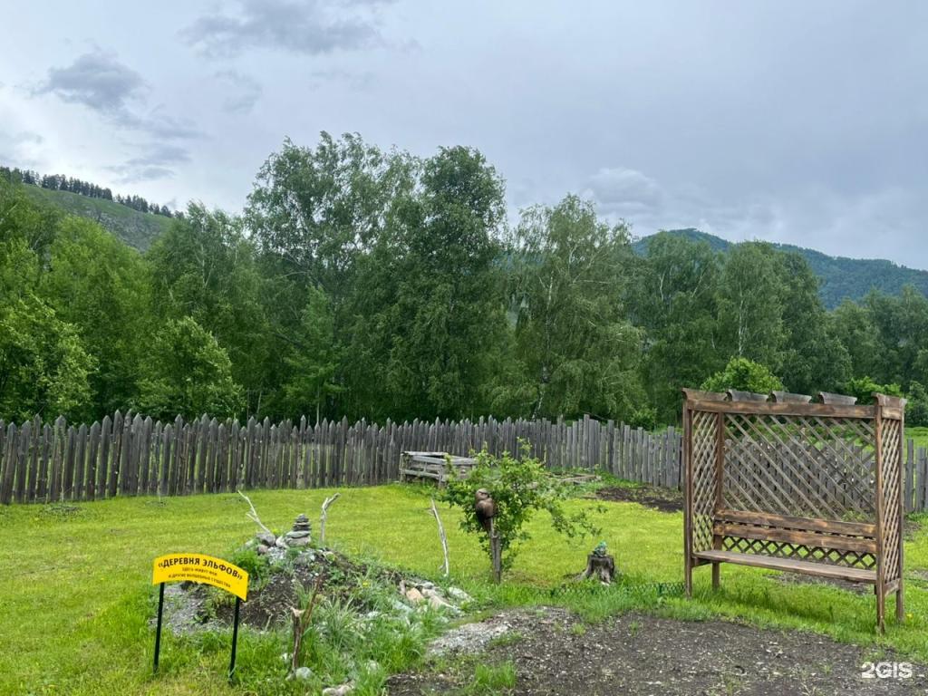 Василиса - фото 6