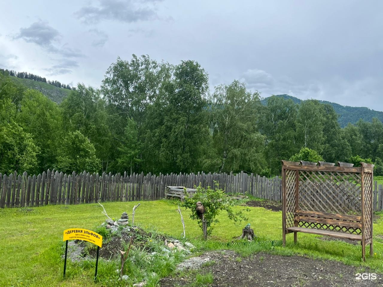 Василиса - фото 6