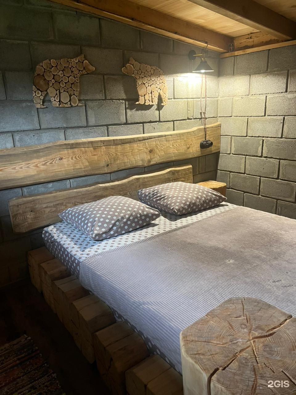 Василиса - фото 18