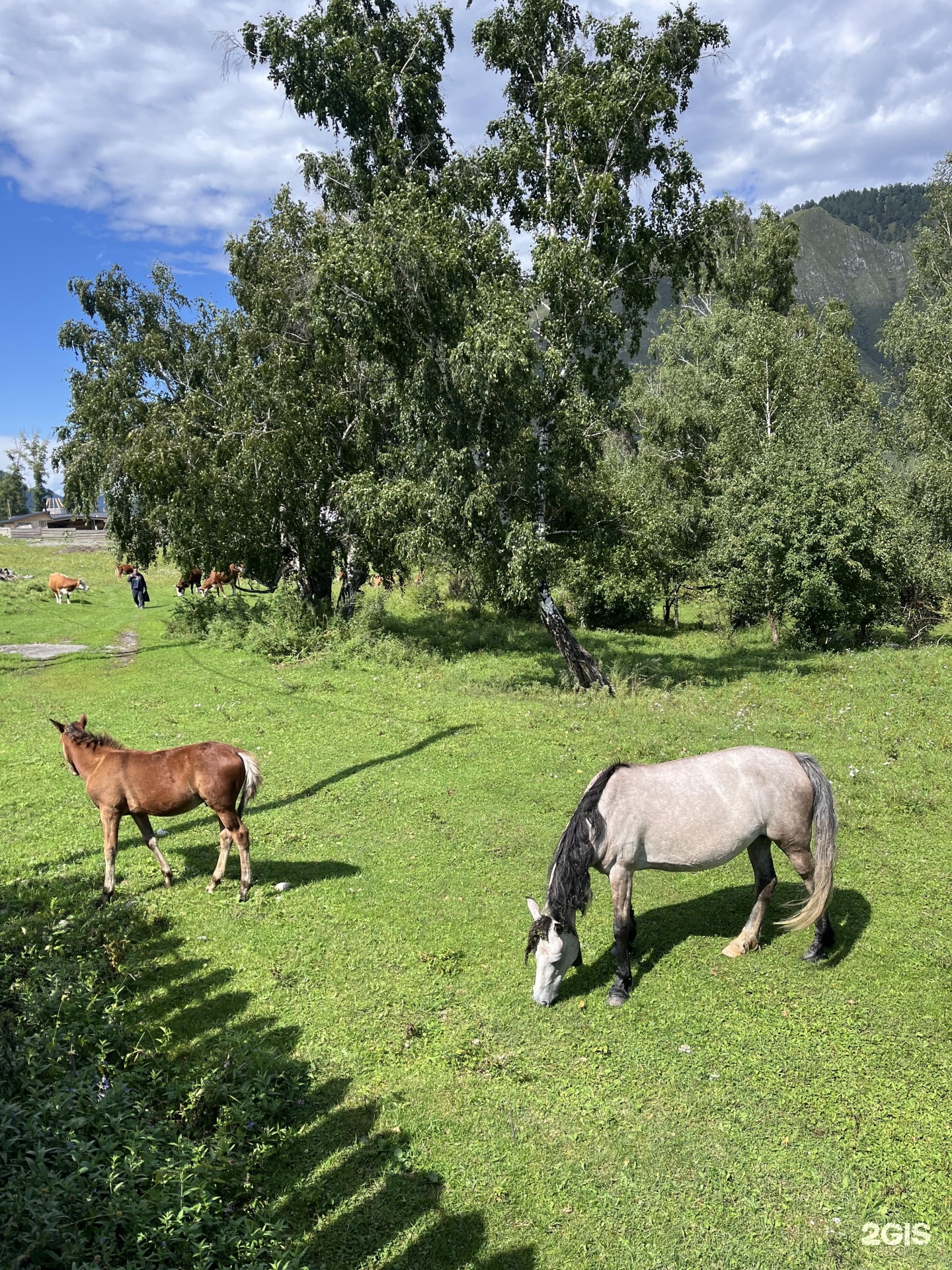 Дом с камином - фото 7