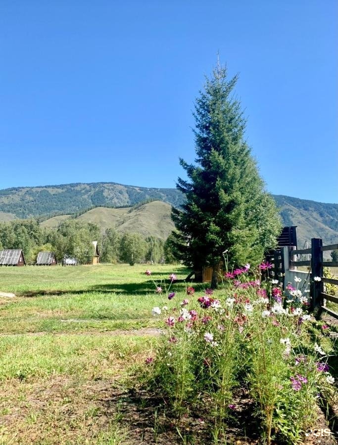 Тюнгур - фото 17