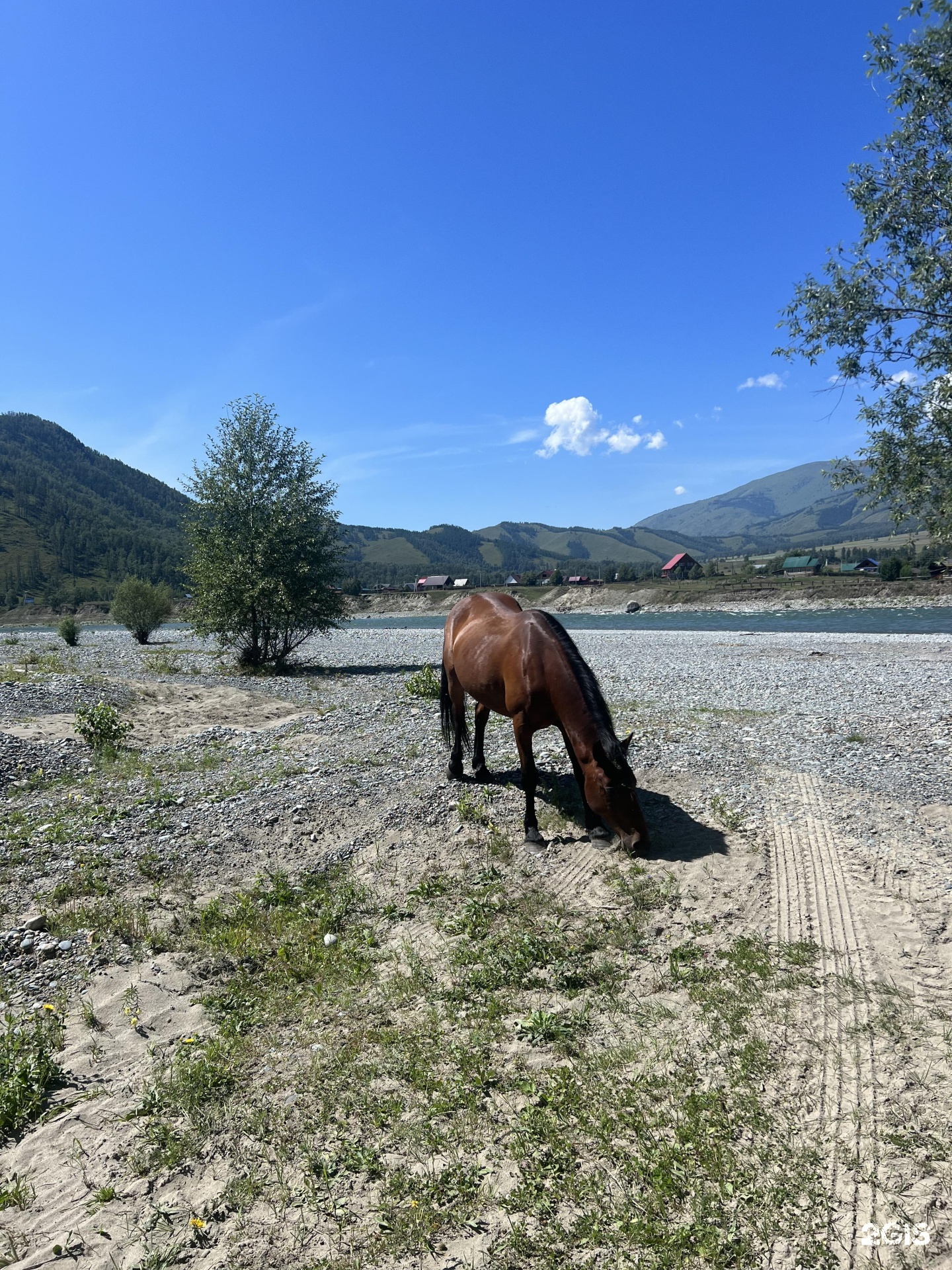 Тюнгур - фото 38