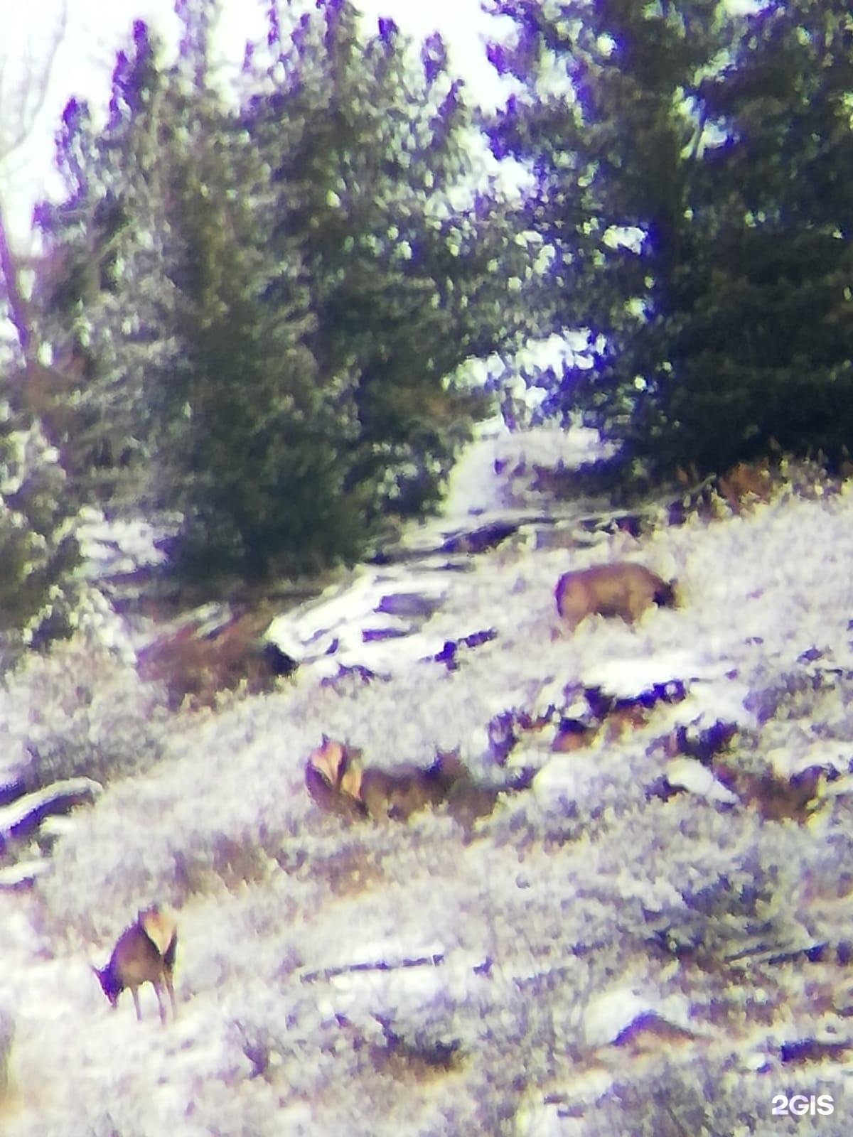 Тюнгур - фото 68