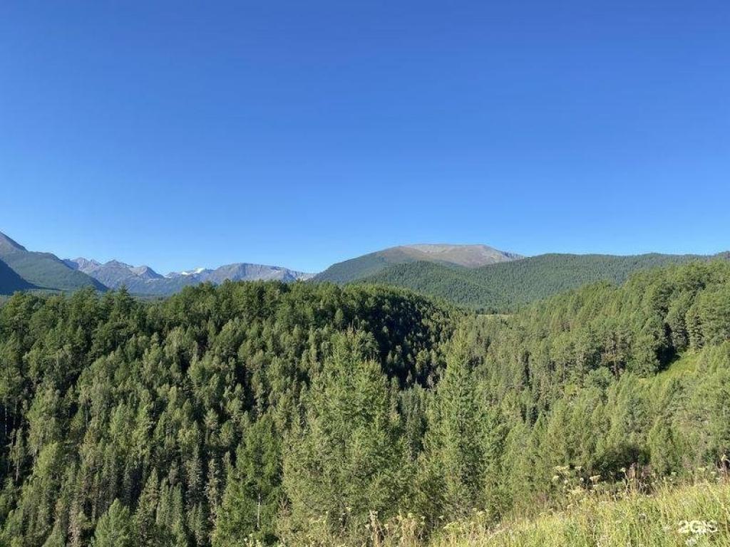 Алтай-Кайлас - фото 7